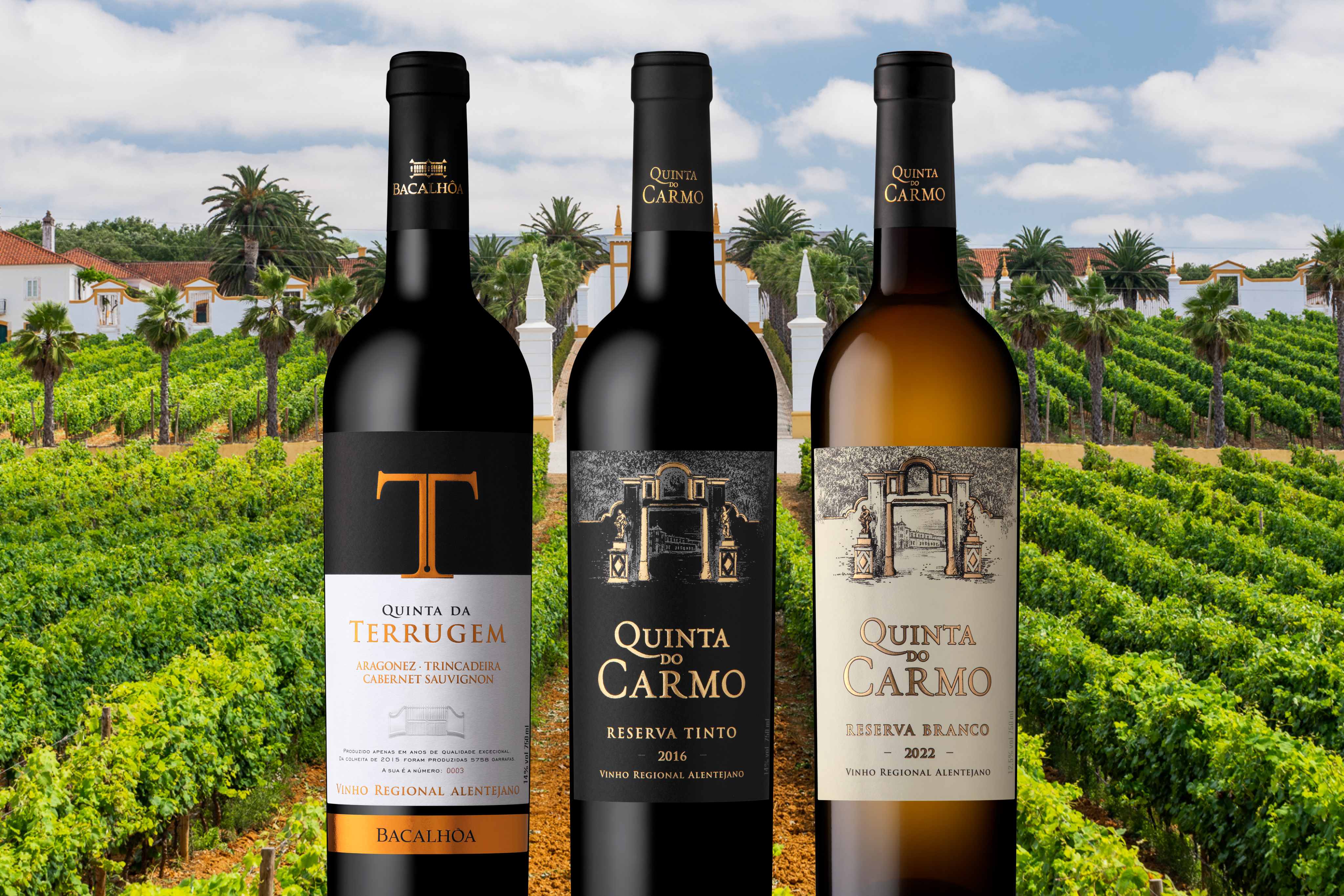 Concurso Melhores Vinhos do Alentejo: Quinta do Carmo e os seu vinhos de alta qualidade!